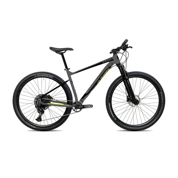 Bici uomo 29" ALIEN 1x12 Velocità taglia 41 BRERA
