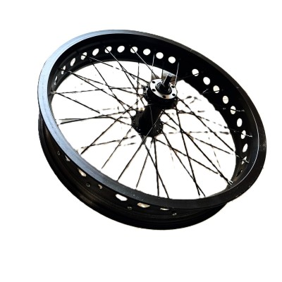 Ruota Anteriore Fat Bike 20"x4.00 Disco Bici COPPI