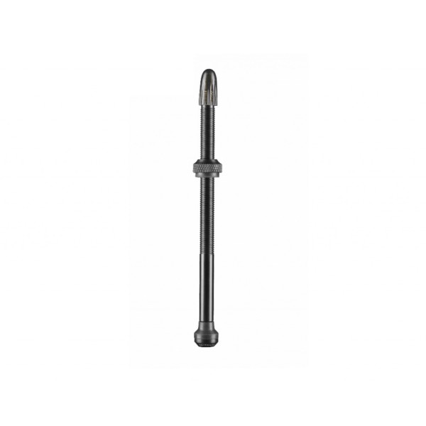 Valvole Tubeless 100mm Presta Kit 2pz SCHWALBE