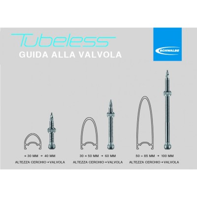 Valvole Tubeless 100mm Presta Kit 2pz SCHWALBE