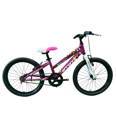 Bici Bambina 20" MTB Little Star 1 velocità Fucsia ERRERRE