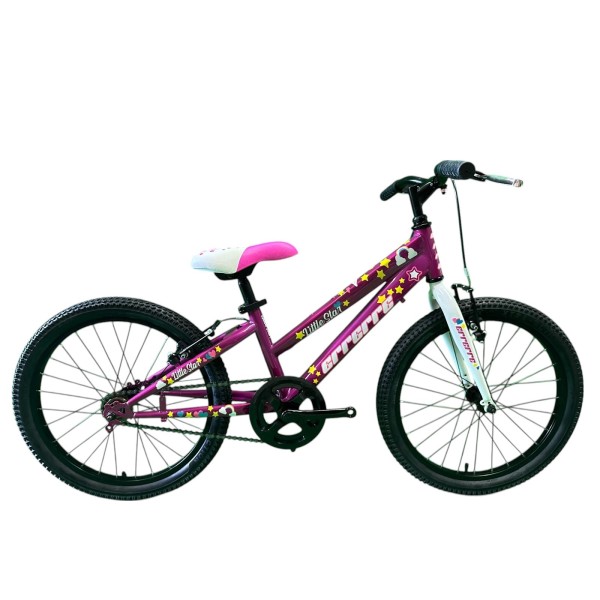 Bici Bambina 20" MTB Little Star 1 velocità Fucsia ERRERRE